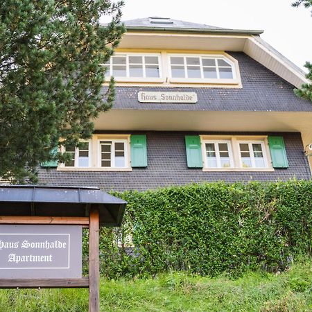 Vista Todtnauberg 2 Apartman Kültér fotó