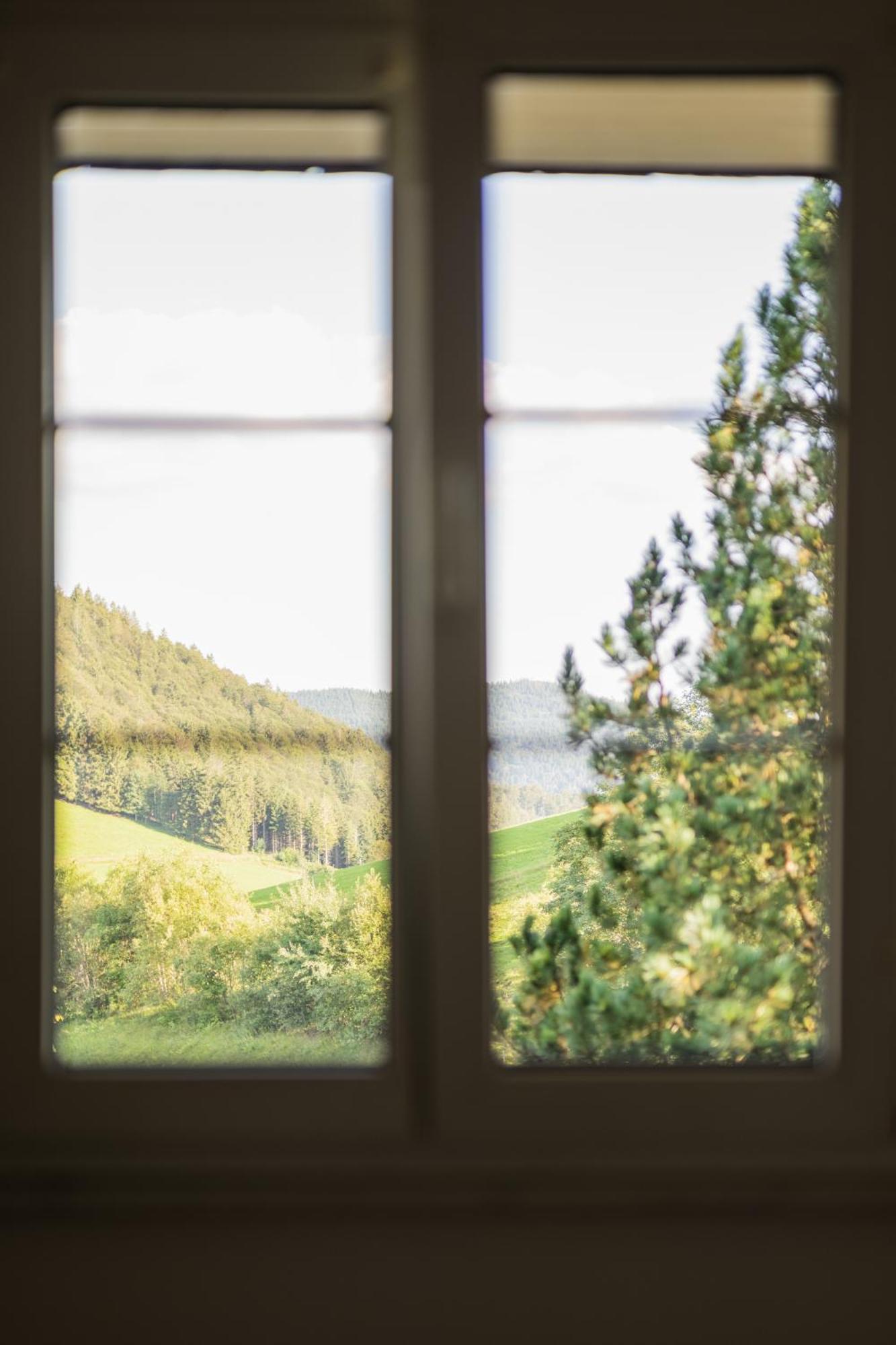 Vista Todtnauberg 2 Apartman Kültér fotó